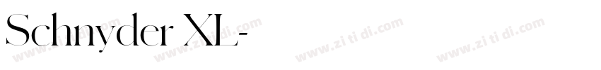Schnyder XL字体转换